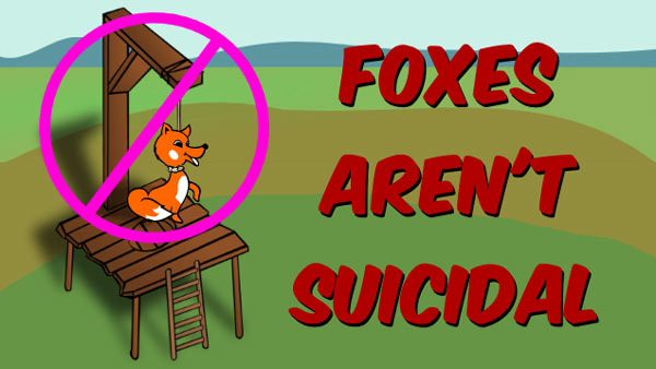 Foxes Aren't Suicidal