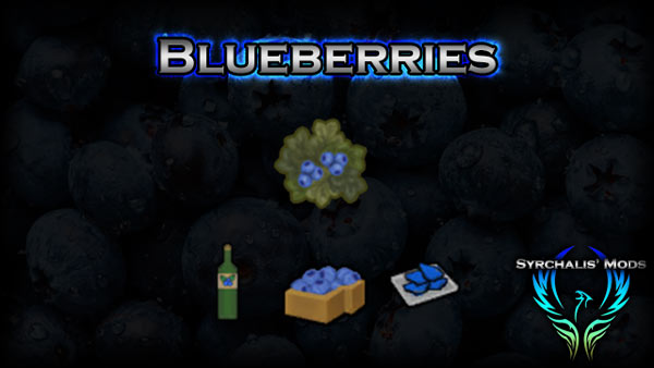 [SYR] Blueberries